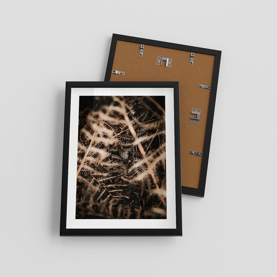 Plakat w ramie 30x40 - Liście i Paprocie - suche liście, paprocie - rama czarna