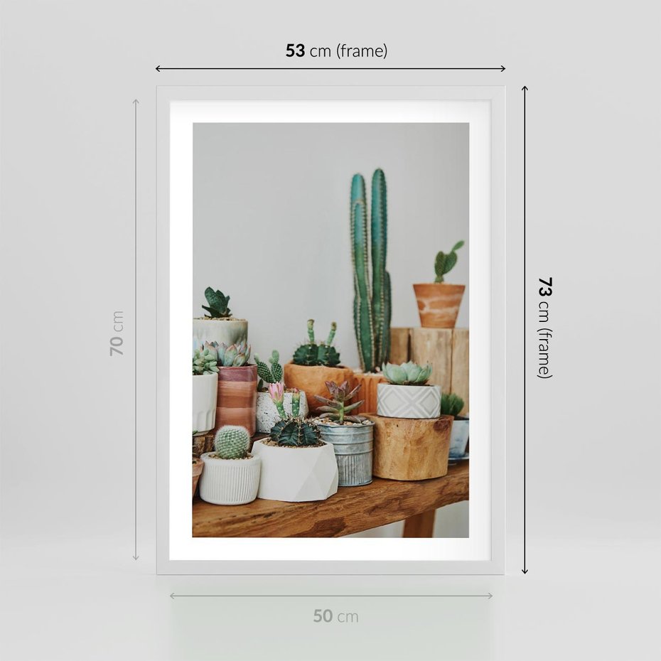 Plakat w ramie 50x70 - Kaktusowa Galeria w Doniczkach - kaktusy w doniczkach, fotografia - rama biała