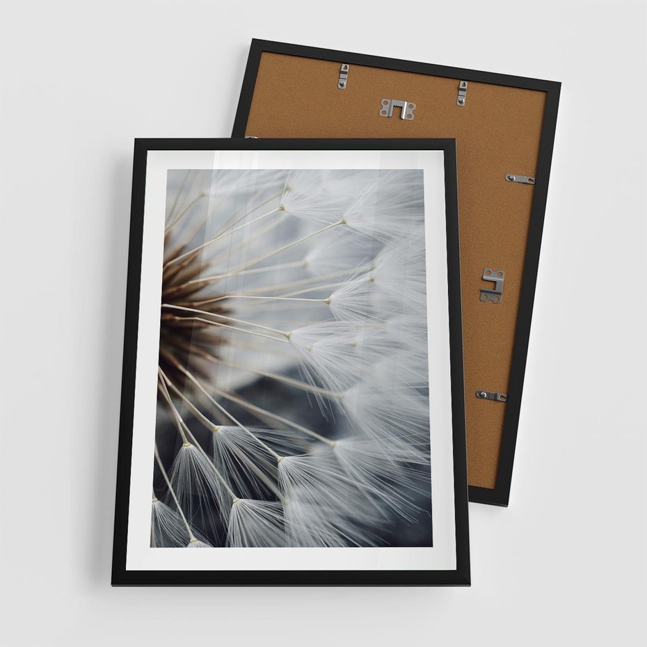 Plakat w ramie 50x70 - Dmuchawce w Naturze - dmuchawiec, zbliżenie - rama czarna