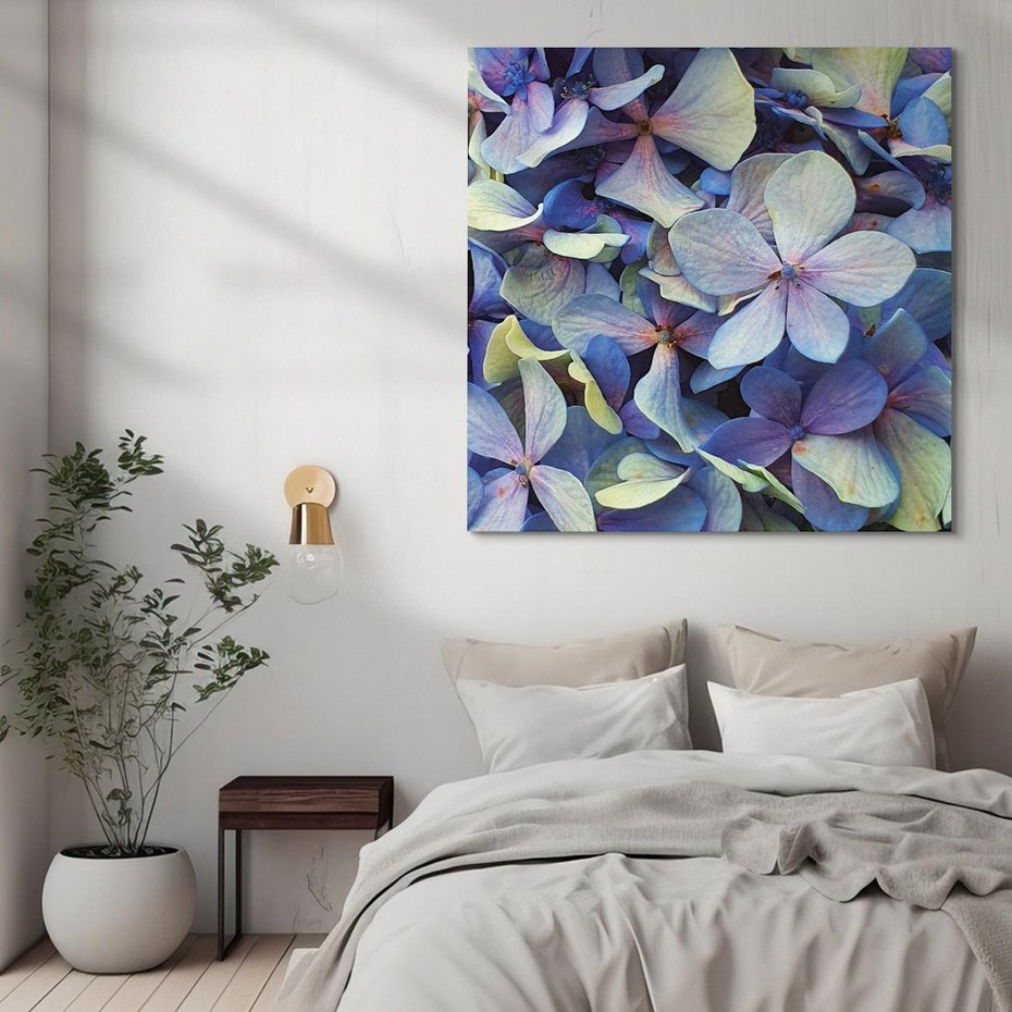 Obraz na płótnie 40x40 - Hortensja - delikatność kwiatów - hortensja, kwiaty