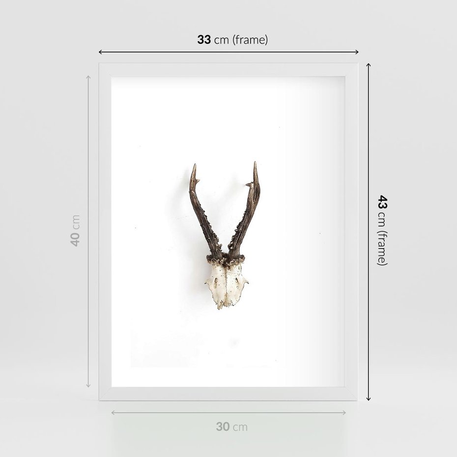 Plakat w ramie 30x40 - Minimalistyczne Poroże Jelenia - poroże jelenia na ścianie, minimalizm - rama biała