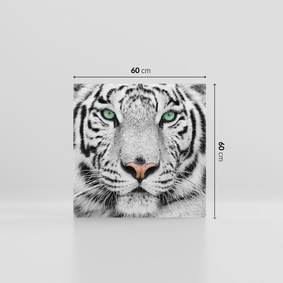Obraz na płótnie 60x60 - Magia Białego Tygrysa - biały, tygrys