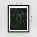 Plakat w ramie 40x50 - Wysoko nad Iglastym Lasem - las, perspektywa - rama czarna