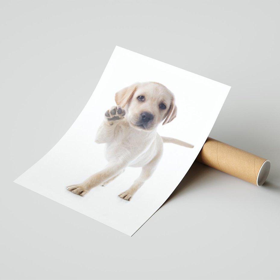 Plakat bez ramy 21x30 - Szczeniak pełen radości - piesek, szczeniak