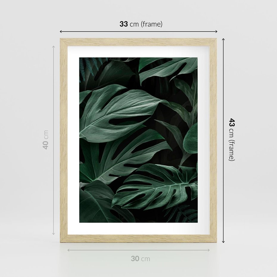Plakat w ramie 30x40 - Zielone Liście Monstery w Dżungli - zielone liście monstery, dżungla - rama drewno