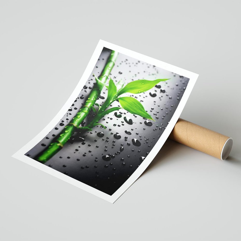 Plakat bez ramy 21x30 - Bambusowa Harmonia - bambus, liście