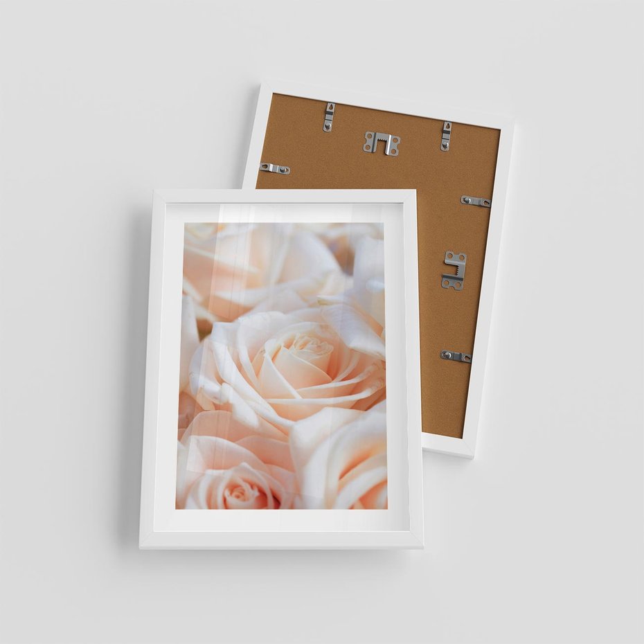 Plakat w ramie 30x40 - Aromatyczna Piękność - płatki herbacianej róży, kwiaty - rama biała