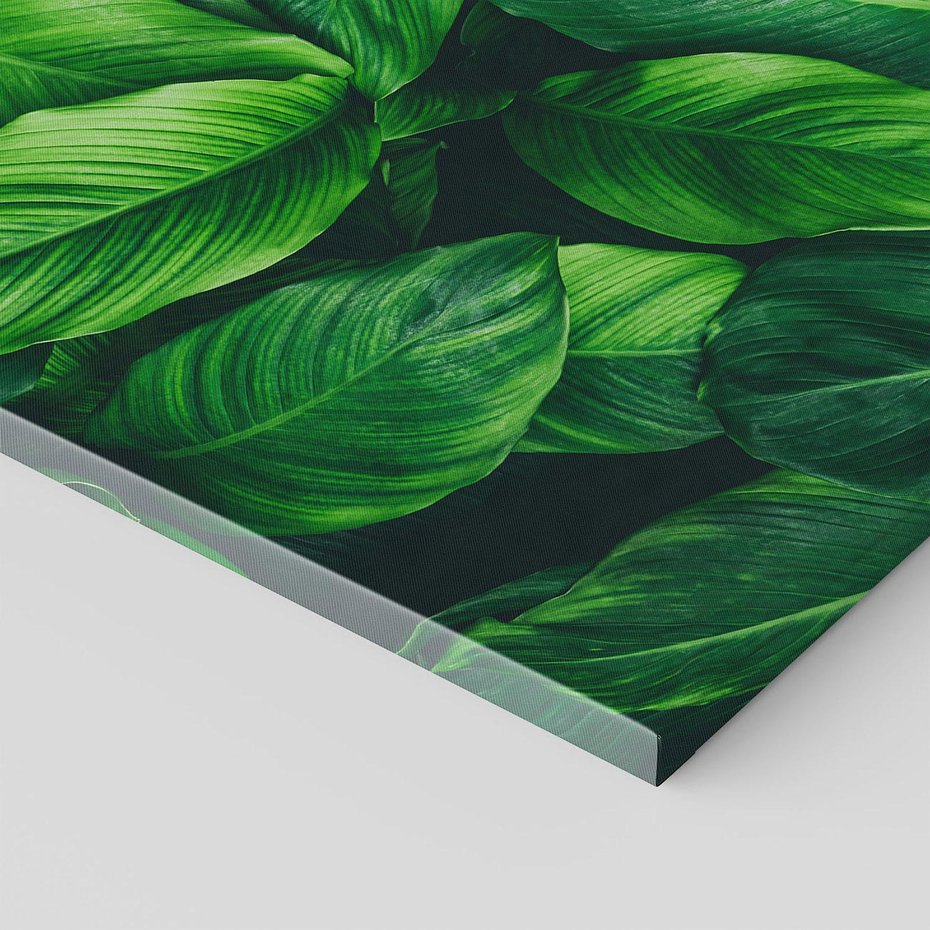 Obraz na płótnie 120x80 - Palma Liście Kwiat - palma, liście
