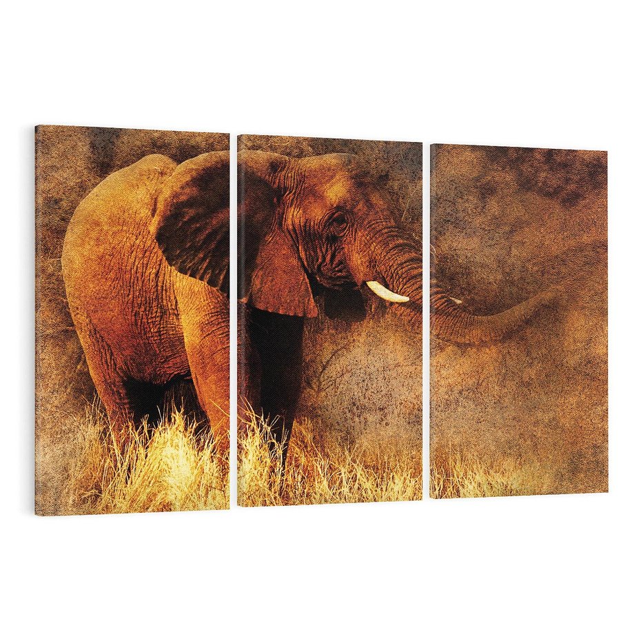 Obraz na płótnie 120x80 - Sztuka abstrakcyjna: Słoń - słoń, sztuka