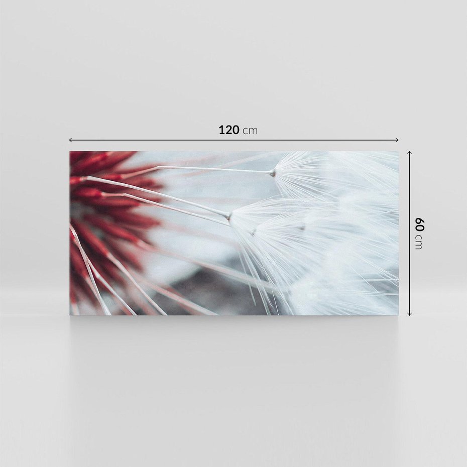 Obraz na płótnie 120x60 - Makro świat dmuchawca - dmuchawiec, makro