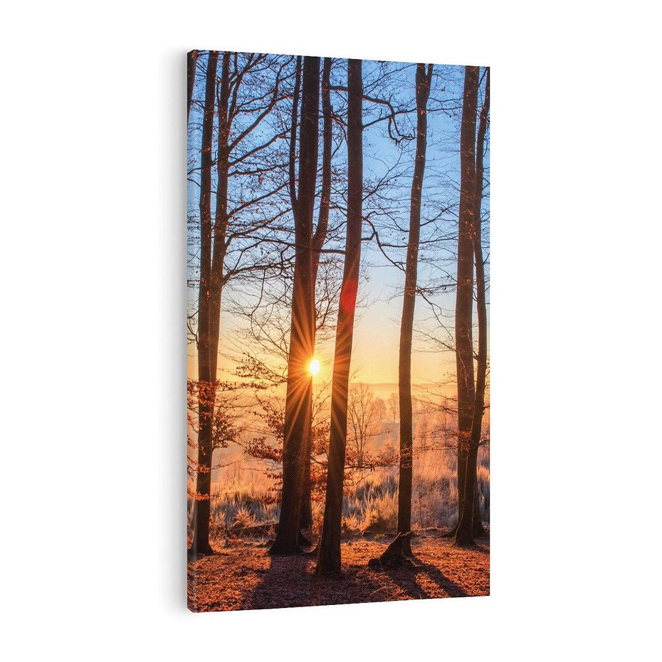 Obraz na płótnie 70x100 - Piękno lasu - las, drzewa