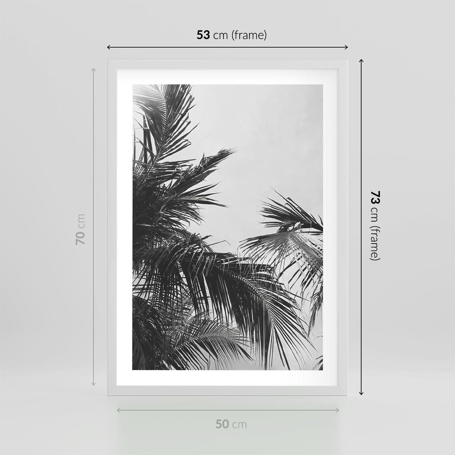 Plakat w ramie 50x70 - Palmy w Monochromii - palmy, tropikalne palmy - rama biała