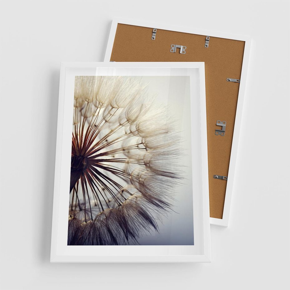 Plakat w ramie 50x70 - Makro piękno dmuchawca - makro, dmuchawiec - rama biała