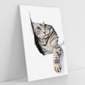 Obraz na płótnie 50x70 - Tajemniczy kot i jego świat - kot, dziura