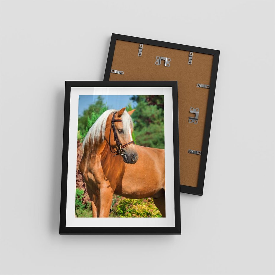 Plakat w ramie 30x40 - Elegancki wierzchowiec - koń, portret - rama czarna