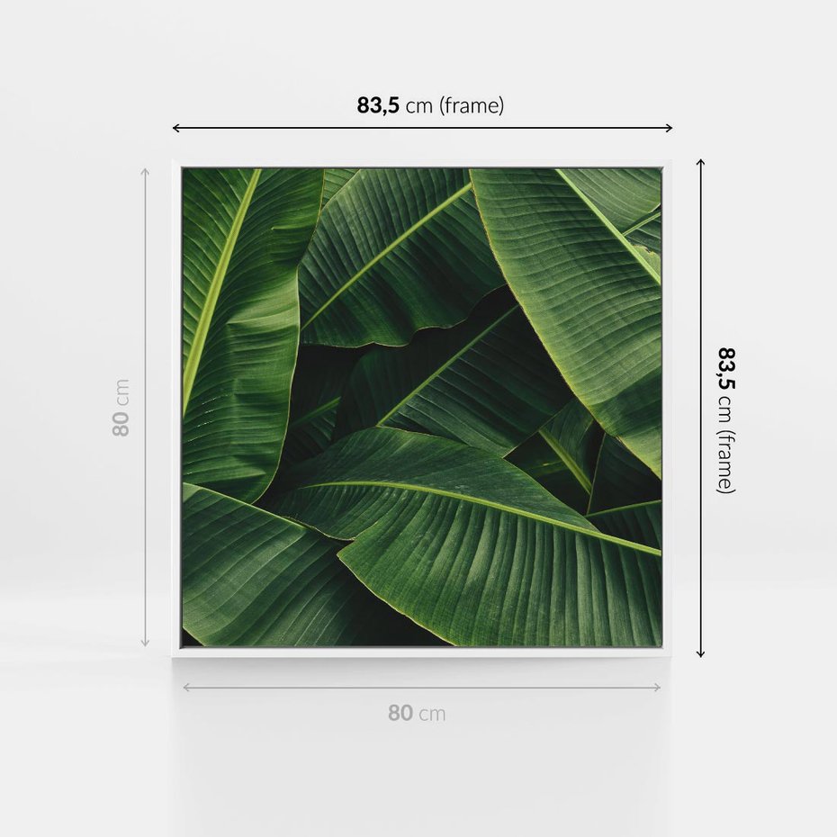 Obraz w ramie 80x80 - Zaklęta roślinna ekspresja - liście bananowca, gęsto ułożone - rama biała