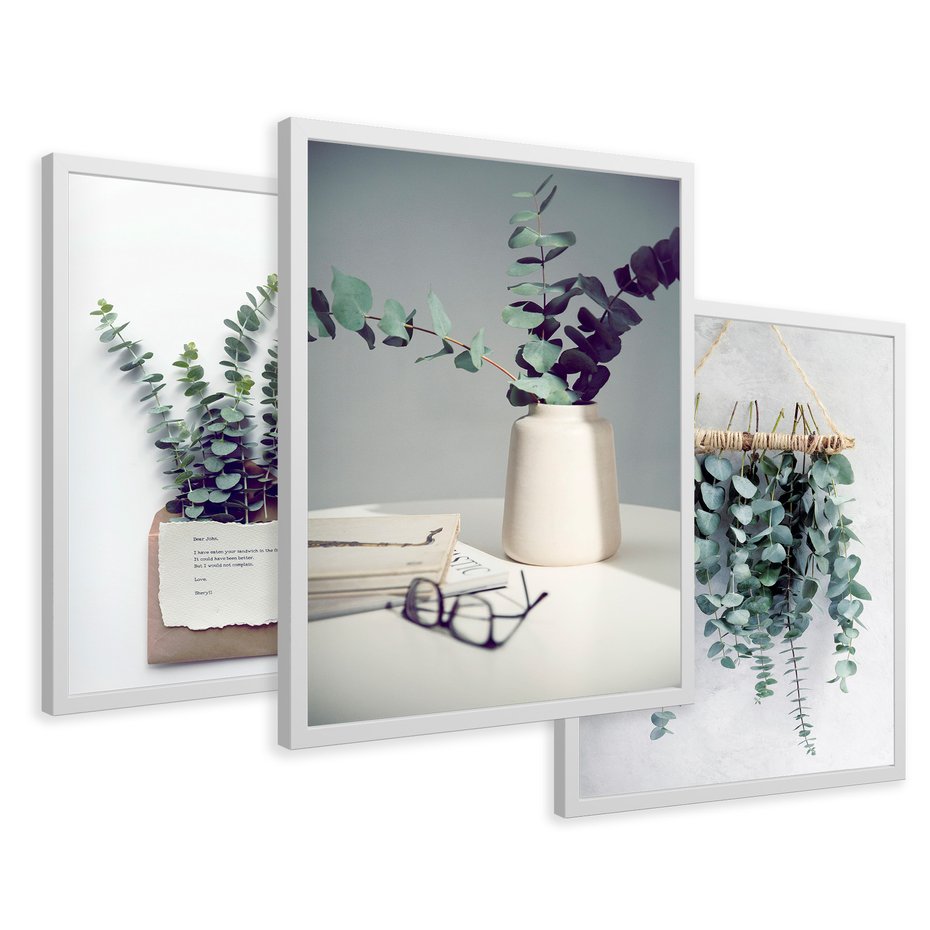 Zestaw obrazy w ramie 30x40 galeria - Eukaliptus, liście, tryptyk, skandynawski - rama biała