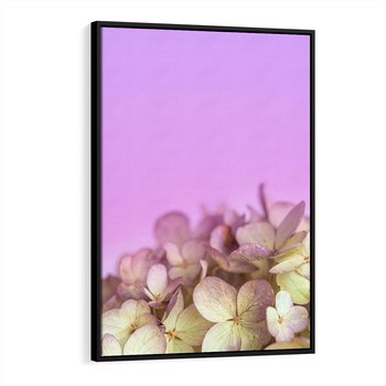 Obraz w ramie 50x70 - Kwiatowa Uroda - kwiaty, hortensje - rama czarna