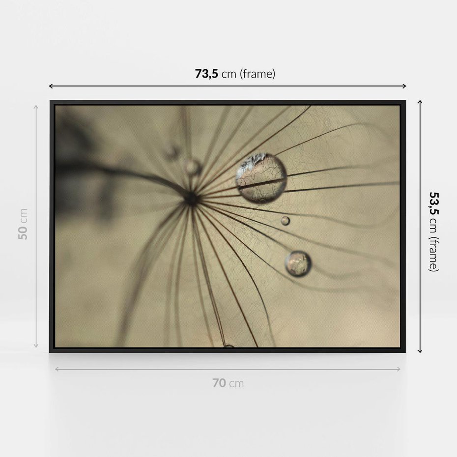 Obraz w ramie 70x50 - Delikatność dmuchawców - dmuchawce, krople - rama czarna