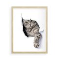 Plakat w ramie 50x70 - Tajemniczy kot i jego świat - kot, dziura - rama drewno
