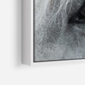 Obraz w ramie 100x70 - Oko Mocy - czarno białe zdjęcie, zbliżenie makro na oko konia - rama biała