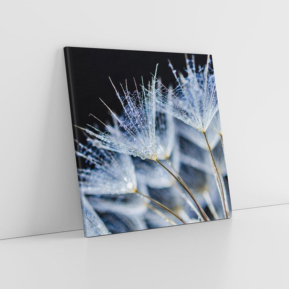 Obraz na płótnie 40x40 - Makro piękno dmuchawców - makro, dmuchawce