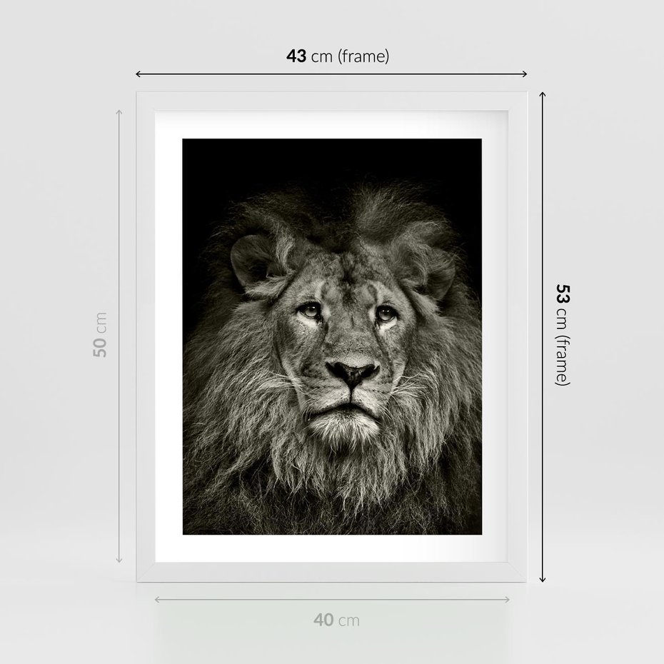 Plakat w ramie 40x50 - Moc lewego spojrzenia - lew, czarno - rama biała