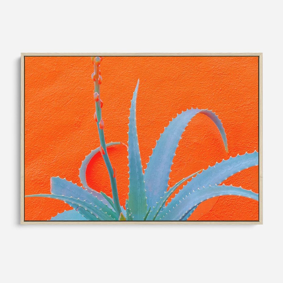 Obraz w ramie 70x50 - Naturalna Harmonia - kaktusy, liście - rama drewno