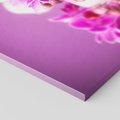 Obraz na płótnie 30x30 - Relaksująca orchidea w spa - spa, orchidea