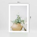 Plakat bez ramy 21x30 - Eukaliptusowa Świeżość - eukaliptus, liście w koszu z wikliny