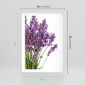 Plakat w ramie 50x70 - Pola lawendy w pełnym rozkwicie - lawenda, kwiaty - rama biała