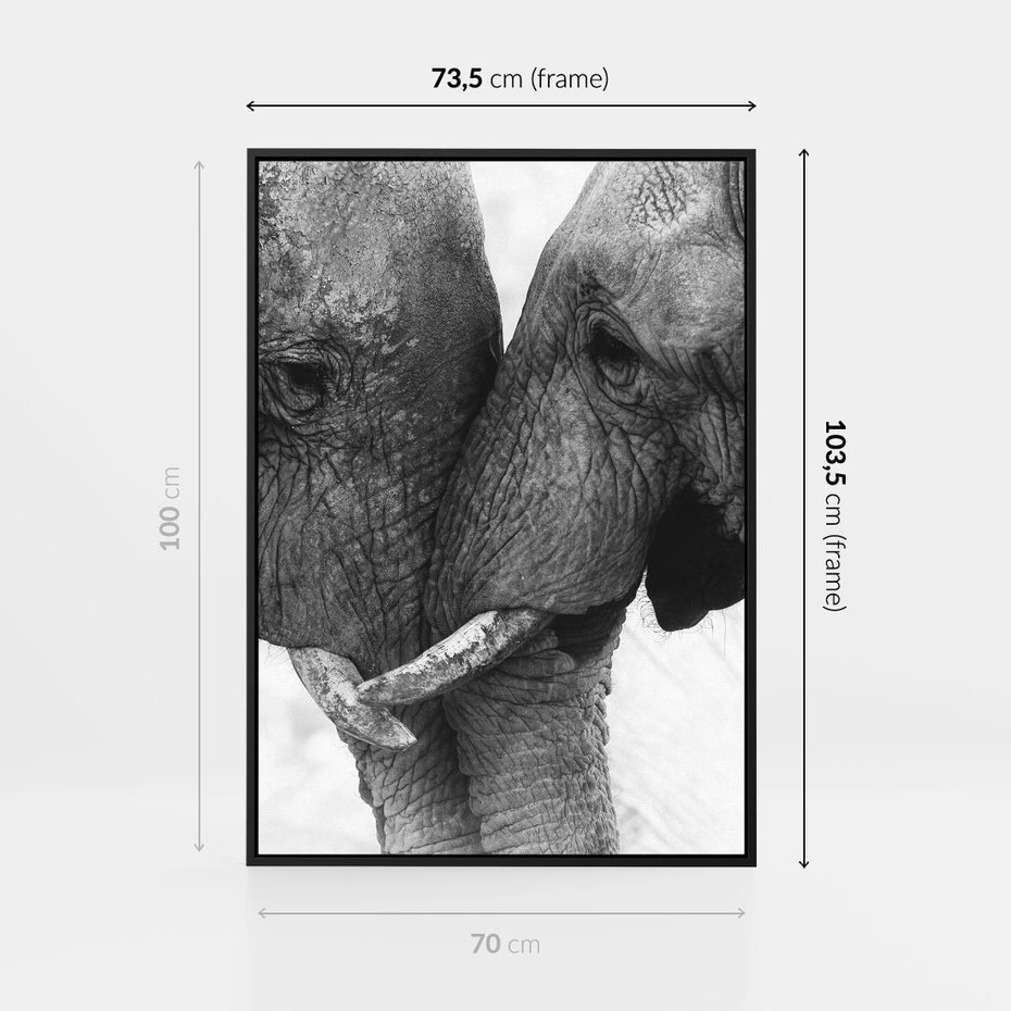 Obraz w ramie 70x100 - Spotkanie Mądrości - fotografia czarno biała, dwa słonie - rama czarna