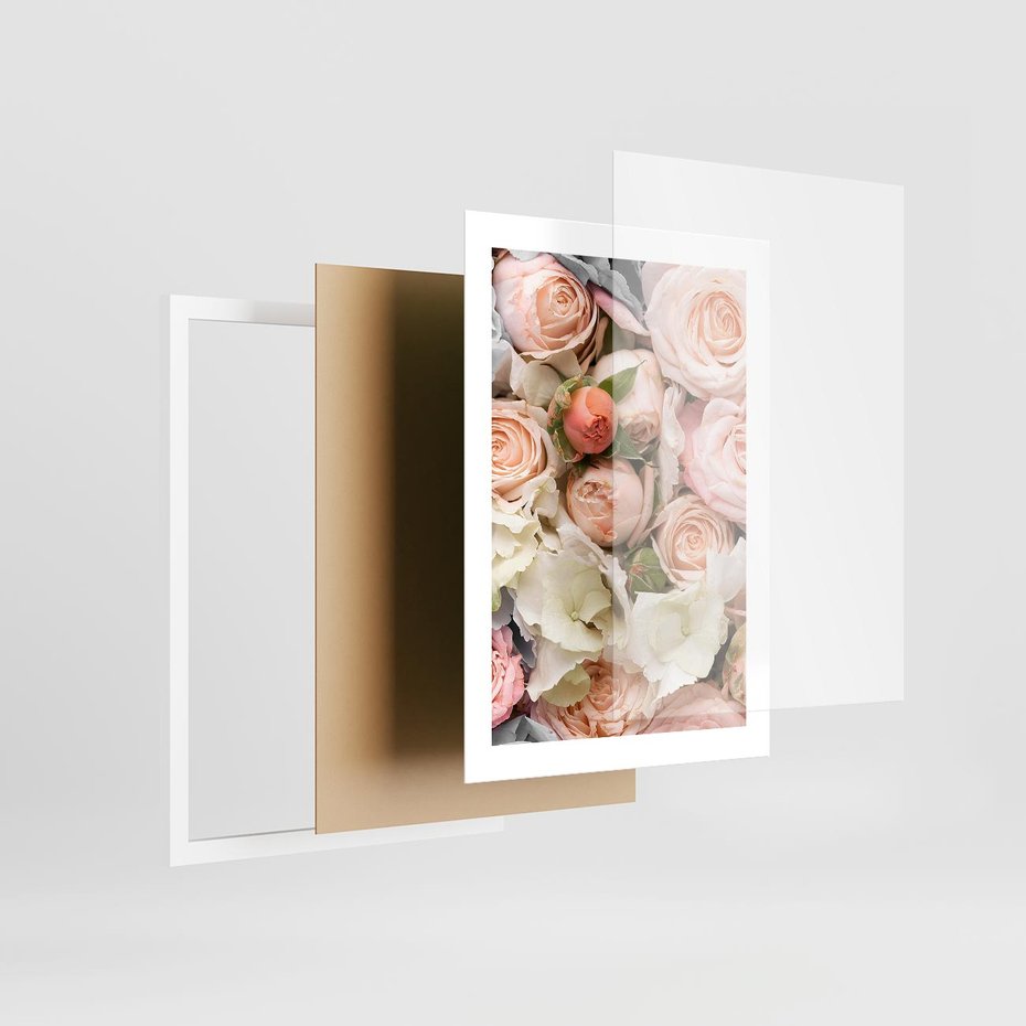 Plakat w ramie 30x40 - Kwiatowy Rarytas: Róże w Herbacianym Zbliżeniu - kwiaty, herbaciane - rama biała