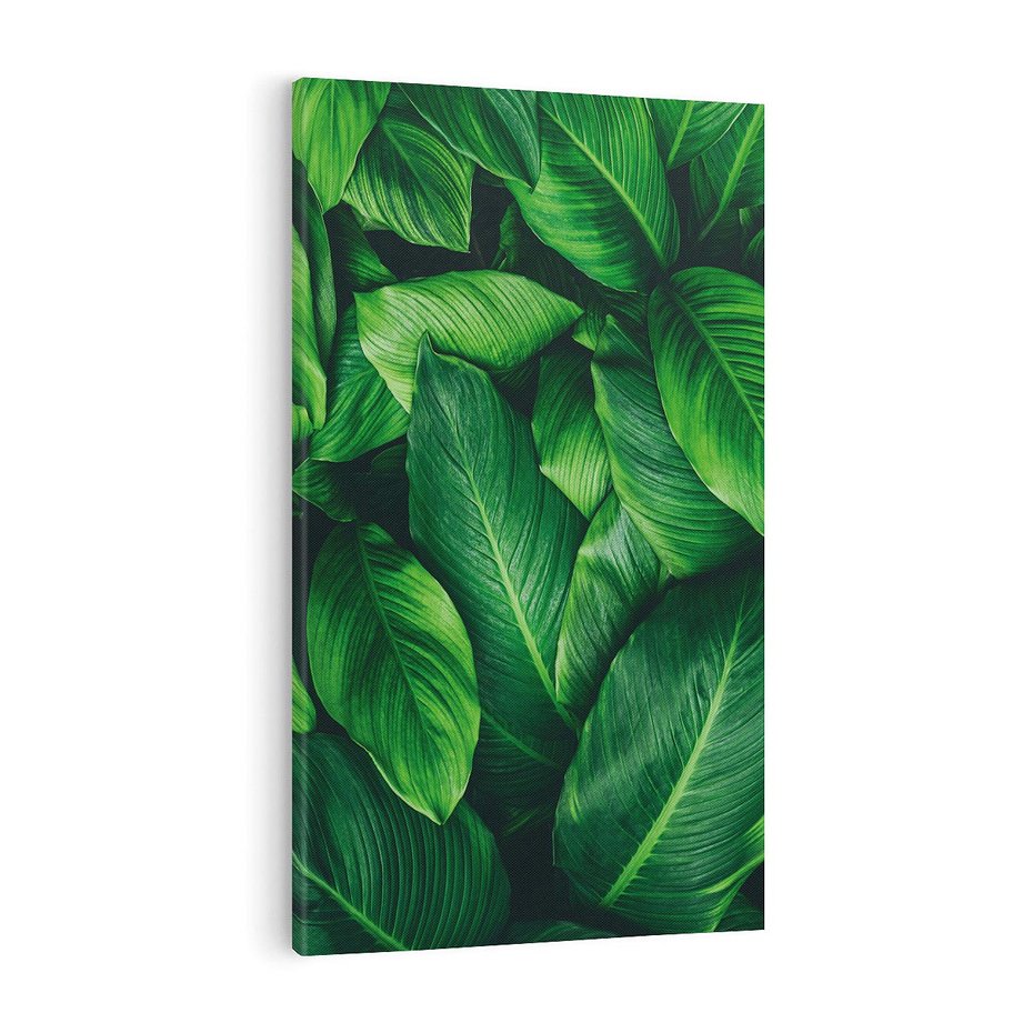 Obraz na płótnie 50x70 - Palma Liście Kwiat - palma, liście
