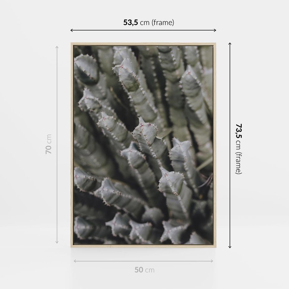 Obraz w ramie 50x70 - Boho kaktusy na pustyni - kaktusy, pustynia - rama drewno