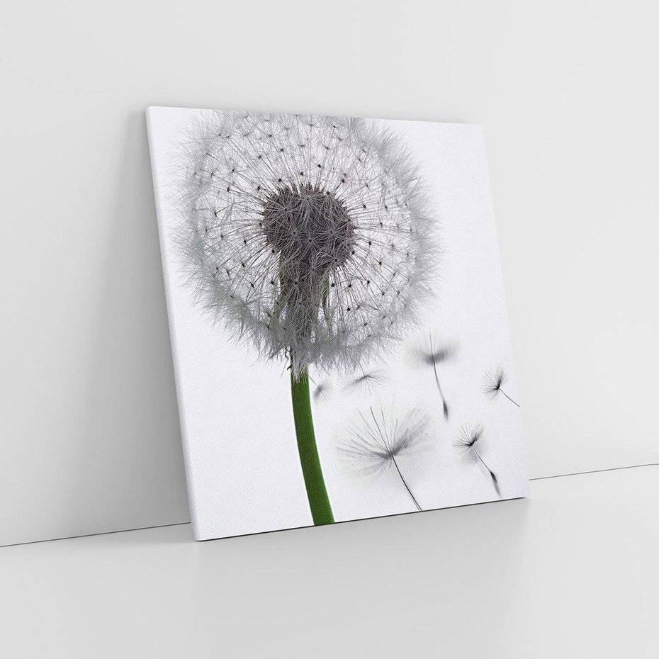 Obraz na płótnie 60x60 - Lekkość Przemijania - dmuchawiec, makro