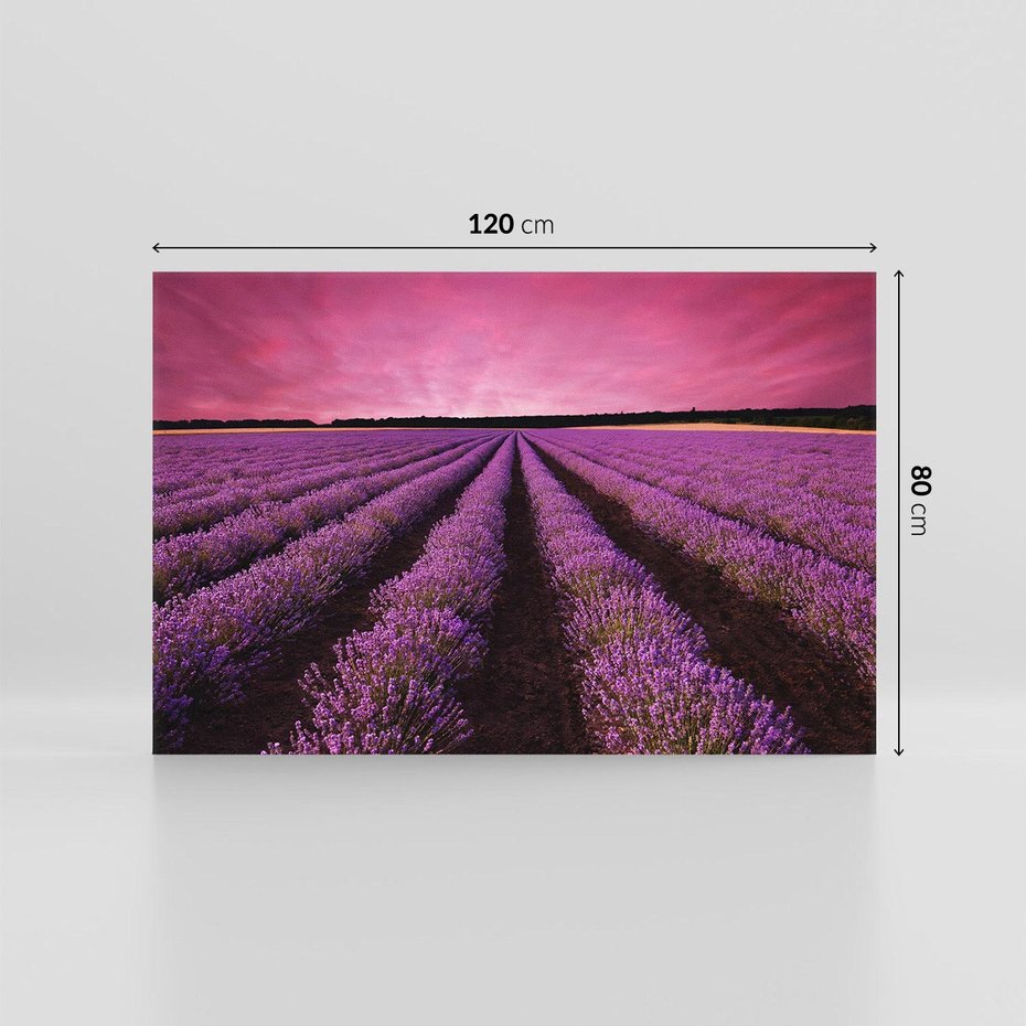 Obraz na płótnie 120x80 - Pola lawendy w pełnym rozkwicie - Lawenda, krajobraz