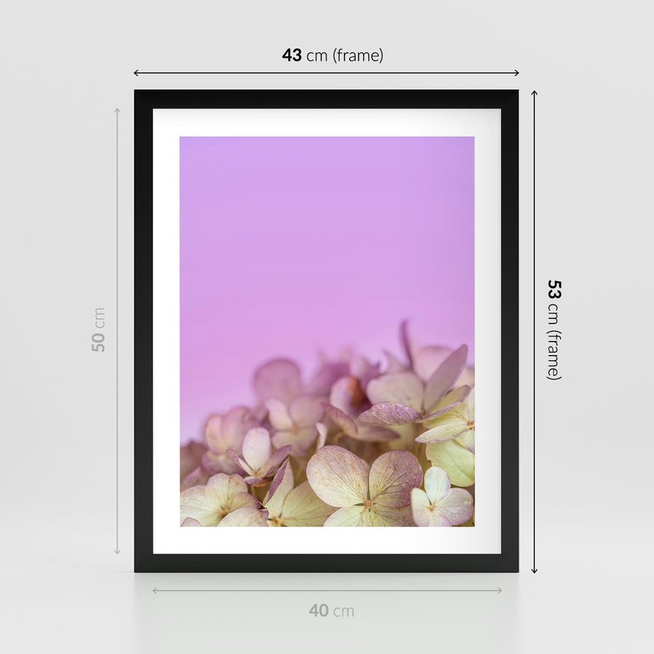 Plakat w ramie 40x50 - Kwiatowa Uroda - kwiaty, hortensje - rama czarna