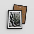 Plakat w ramie 30x40 - Sukulenty wśród kaktusów - sukulenty, kaktusy - rama czarna