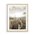 Plakat w ramie 50x70 - Łąka w Klimacie Sepii - suche trawy, łąka - rama drewno