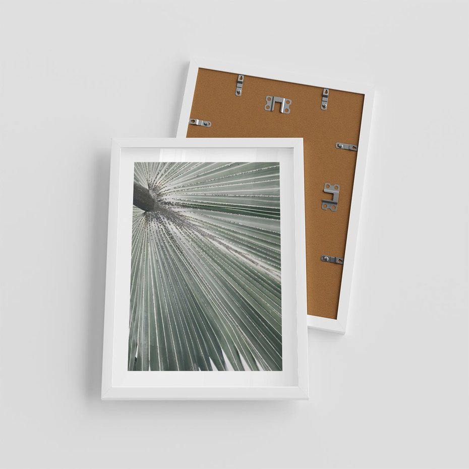 Plakat w ramie 30x40 - Jasnozielony Świat - palma, liść - rama biała