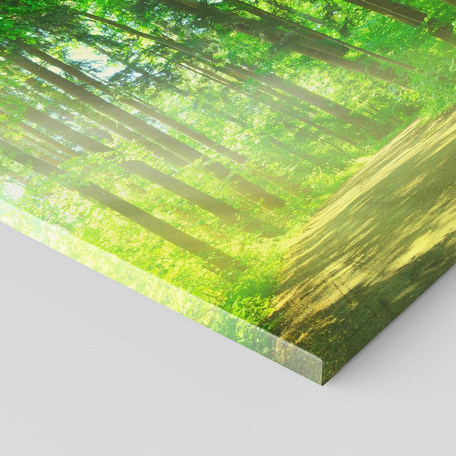 Obraz na płótnie 50x50 - Urok lasu na drodze - las, drzewa