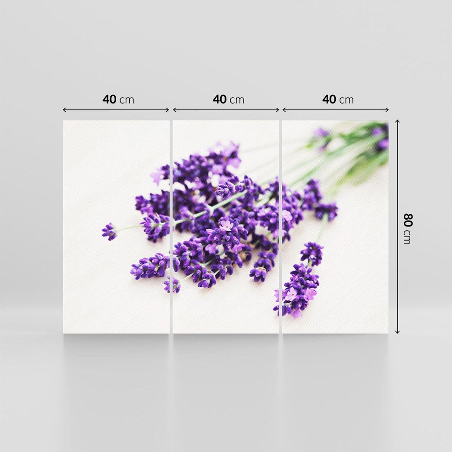 Obraz na płótnie 120x80 - Urok lawendowych kwiatów - lawenda, kwiaty