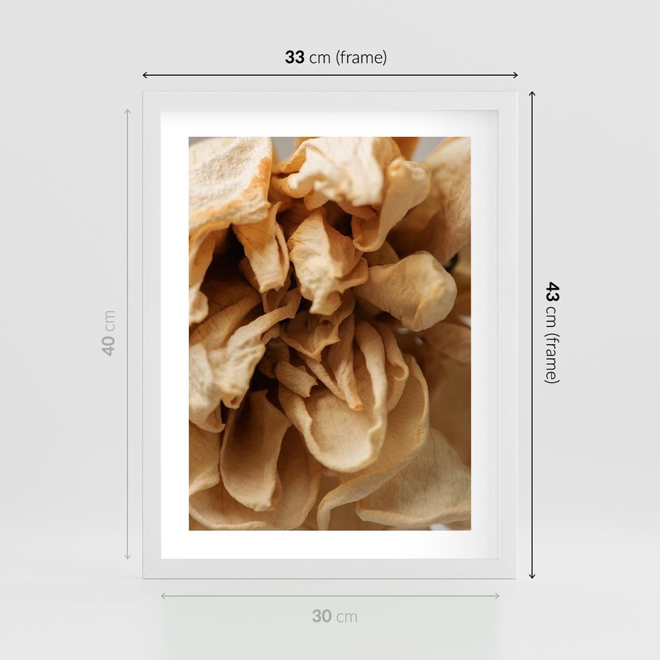 Plakat w ramie 30x40 - Zjawiskowe zasuszone kwiaty - zasuszone, kwiaty - rama biała