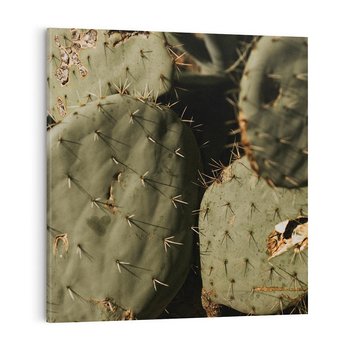 Obraz na płótnie 40x40 - Urok Egzotyki - kaktusy, boho