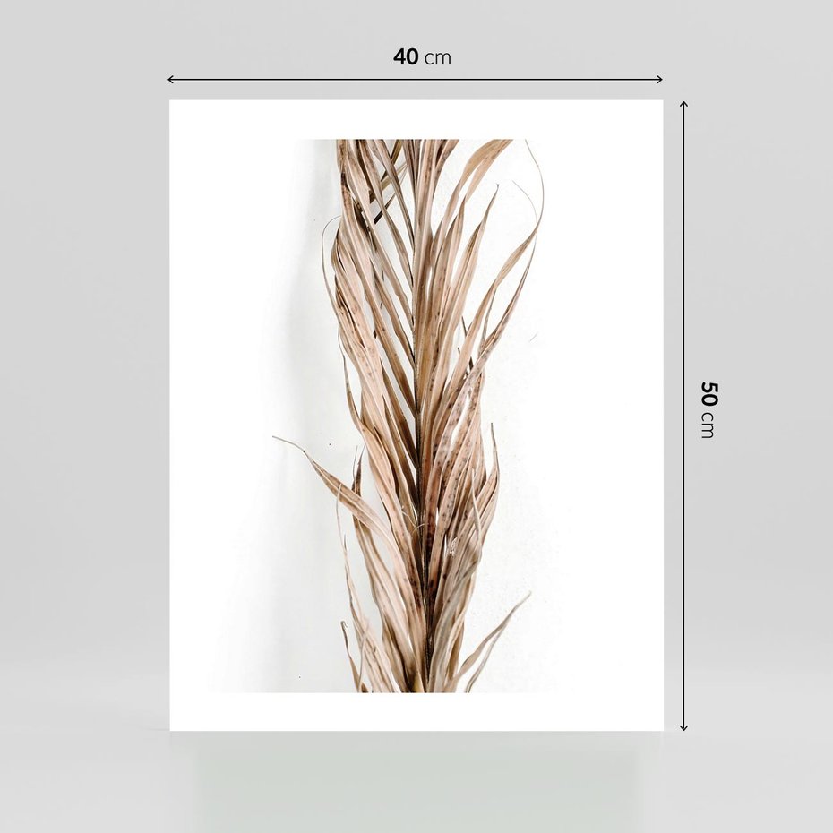Plakat bez ramy 40x50 - Minimalizm Palmowy: Sucha Uroda - sucha palma, minimalizm