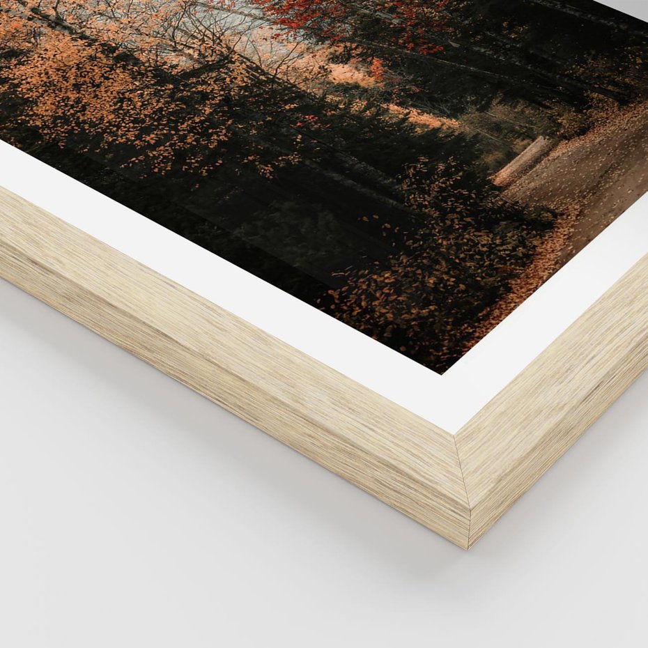 Plakat w ramie 30x40 - Drzewa w Czerwonych Liściach - las, jesienny las - rama drewno