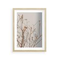 Plakat w ramie 30x40 - Boho gałązki suche - gałązki, suche - rama drewno