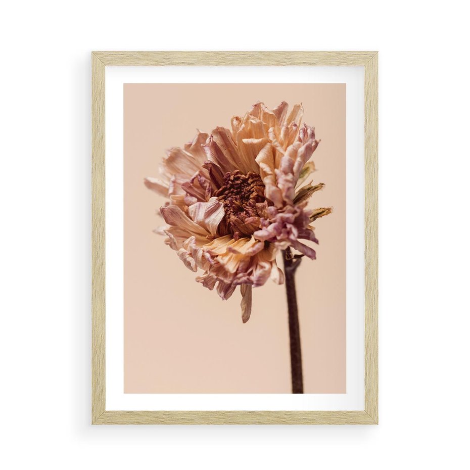 Plakat w ramie 50x70 - Delikatne piękno - suche, kwiaty - rama drewno