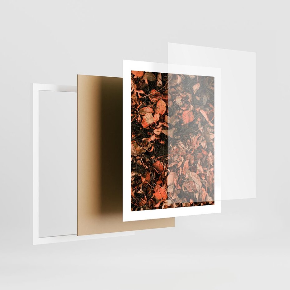 Plakat w ramie 40x50 - Jesienny Splot: Pomarańczowe Liście - liście, pomarańczowe suche liście - rama biała